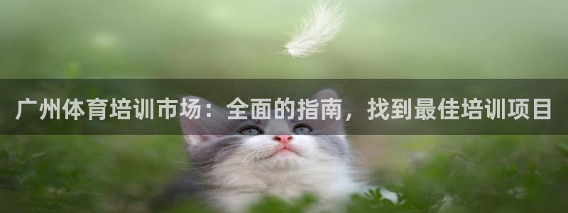富联平台官网：广州体育培训市场：全面的指南，找到最佳