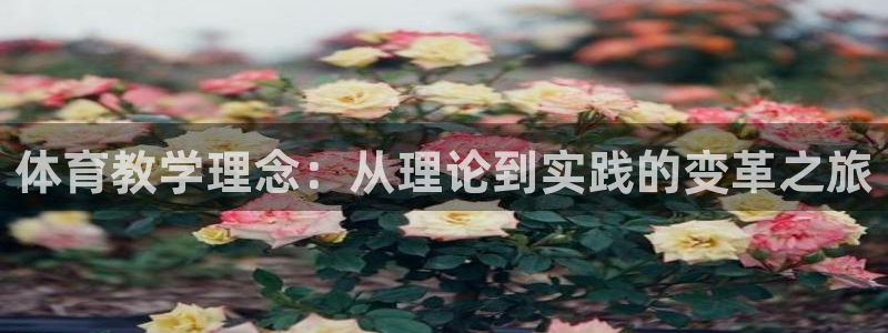 富联官网注册不了账号吗：体育教学理念：从理论到实践的