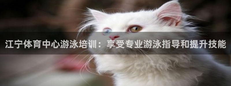 富联官网代理系列：江宁体育中心游泳培训：享受专业游泳