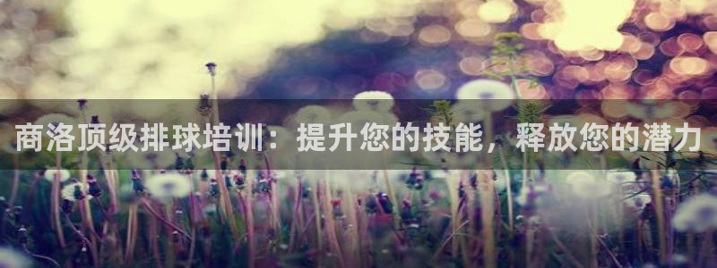 富联官网注册流程视频：商洛顶级排球培训：提升您的技能