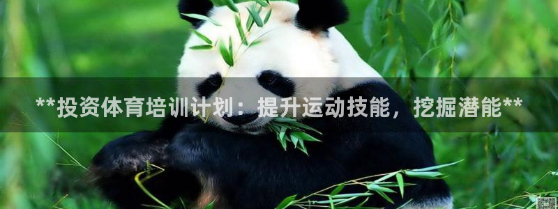 富联平台登录注册账号：**投资体育培训计划：提升运动技能，挖
