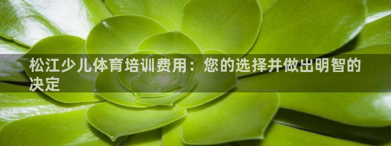 富联官网授权：松江少儿体育培训费用：您的选择并做出明