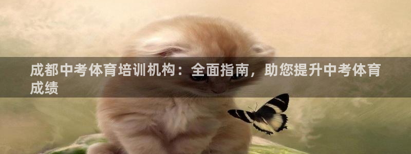 富联最新股价：成都中考体育培训机构：全面指南，助您提