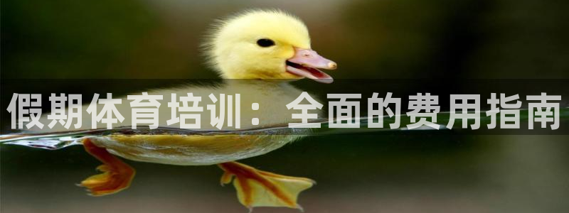 富联是什么平台：假期体育培训：全面的费用指南