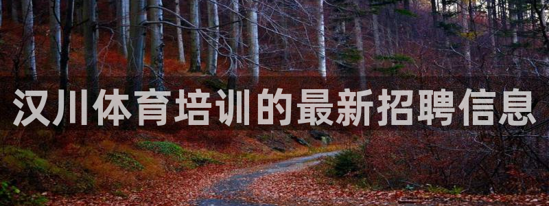 富联平台可以 5O6917：汉川体育培训的最新招聘信