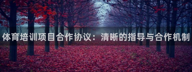 富联官方网站入口网址是多少：体育培训项目合作协议：清