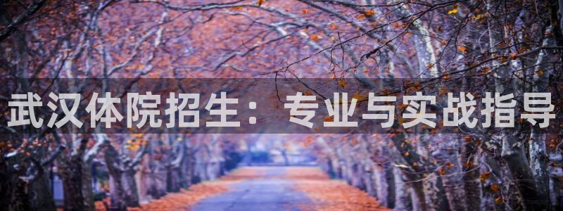 富联平台登录注册流程：武汉体院招生：专业与实战指导