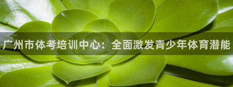 富联娱乐合作 58534I 娱乐：广州市体考培训中心